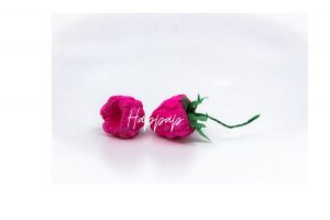Framboise en papier de soie fabriquée avec la technique Happap – Création artisanale et décorative.