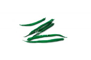 Haricot vert en papier de soie DIY réalisé avec la technique Happap – Création artisanale et décorative.