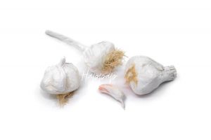 Ail en papier de soie réalisé avec la technique Happap art veggies